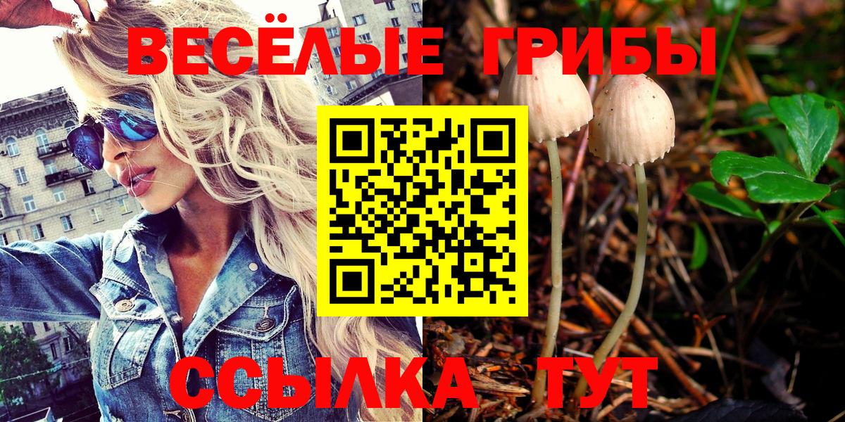 Псилоцибиновые грибы прущие грибы Кисловодск