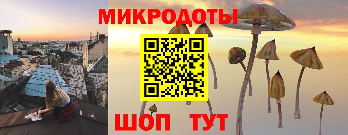 Галлюциногенные грибы Psilocybe  Вход с VPN  Кисловодск 